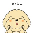 휴먼앤펫 이미지