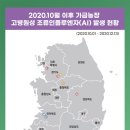 큰닭농장 이미지