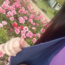 토담오리칼국수 이미지