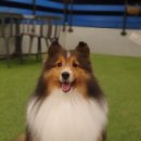 블루오션펜션 이미지