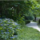 파도의숨결 이미지