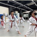 바른아이 태권도 이미지