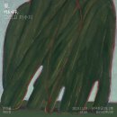 꽃그리고나무
