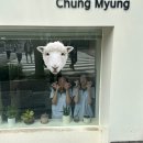 우진학습지 | 나의 가치를 알아주는 사람의 보석으로 사세요