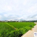 통일로 금촌농장 네이버블로그