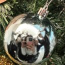 유)상무 이미지