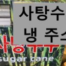 천사노니 - 북구 | 천사노니