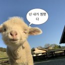 남한산성입구역 | 나만알고싶은 남한산성입구역 ‘연산부인과’ 내돈내산 후기