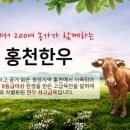 홍천한우 이미지