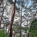 청도의 아침 이미지