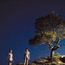 에이리얼 - 중구 | 에이리얼