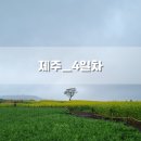 서진카써비스 | [ 제주ㅣ4일차 ] 이모, 삼촌네 부부 친척동생까지 6인 가족여행ㅣ4일차ㅣ전체일정