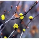 바울농장 이미지