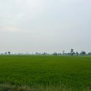 동부ENG | 블리타르: 숨겨진 인도네시아의 보석, 감성으로 채우는 여행의 순간들