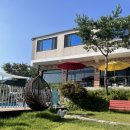 로맨틱스타 | 강화도 애견펜션 로맨틱스타 내돈내산 후기 (리모델링 완료)