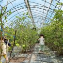 선바위농장 이미지