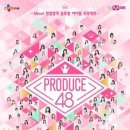 48 이미지