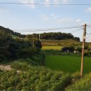 여주-1056 이미지