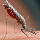 프리마약국 이미지