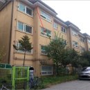 분당-343 이미지