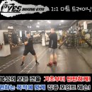 예스복싱 이미지
