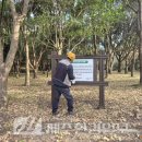 제주 도순리 녹나무 자생지 | 제주자연유산돌봄센터 ‘제주 도순리 녹나무 자생지’ 돌봄 활동