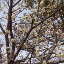 녹원유치원 이미지