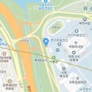 서울의 봄 소풍, 여의도 윤중로의 벚꽃 길 이미지