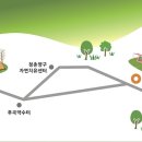 약수골캠프촌 숲속캠핑장 이미지