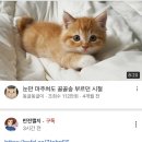 현민기획사 | 여섯