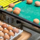 유자네식당 이미지