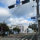 모란추어탕 | [전남/강진] 보쌈 맛집 추어탕 맛집 '모란 추어탕' 내돈내산 후기