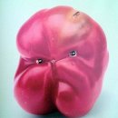 즐거운야채 과일 이미지