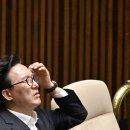 정치 잡종 이슈 (남천동 흑화/이재명 개혁 언급/용혜인 사퇴 배경/장혜영의 위성정당 비난...) 이미지