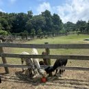 양동목장 이미지