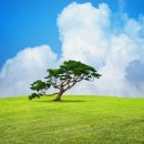 조경기능사 이미지