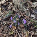 물만골선지집 | 황련산 최단코스, 황련산 맛집, 황령산 등산 꿀팁