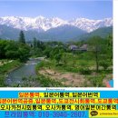 일본인력부족심화,도쿄전시회통역,오사카전시회통역,일본어통역,일본어번역공증