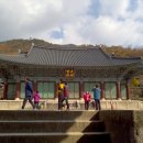 순천만여행스케치