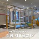 가평 킹콩키즈풀빌라 독채 풀빌라 E 방 4개 키즈펜션 추천 내돈내산 장단점