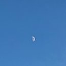 꽃보다 이쁘개 이미지