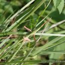 메뚜기민박 이미지