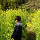 현주네 민박 이미지