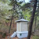 천보체육회 이미지