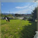 강아지 보호센터 이미지