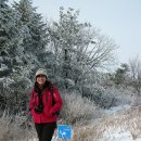 1월 5일 (일) 제13회 휴일여행도보, 강릉 바우길[국민의 숲] 걷기와 대관령 한우 여행, 두번째 이미지