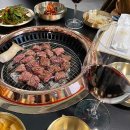 우테일러 이미지