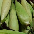 성실축산 이미지