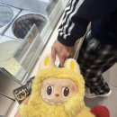 동현농장 | 중간고사 기간에 감기최악👎