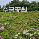 모드니여행사 - 고양시 일산동구 고봉로770번길 5 | 모드니여행사